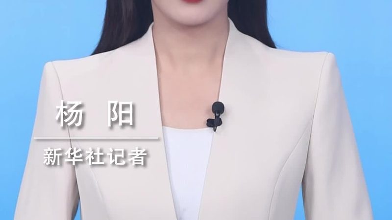 信息化建设与数字化转型：本质区别与紧密联系